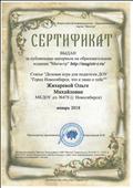 Сертификат за публикацию статьи "Деловая игра для педагогов ДОУ "Город Новосибирск, что я знаю о тебе", январь 2018 г. Сертификат за публикацию статьи "Деловая игра для педагогов ДОУ "Город Новосибирск, что я знаю о тебе", январь 2018 г.