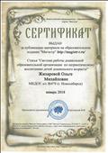 Сертификат за публикацию материала "Система работы дошкольной образовательной организации по патриотическому воспитанию детей дошкольного возраста", январь 2018 г. Сертификат за публикацию материала "Система работы дошкольной образовательной организации по патриотическому воспитанию детей дошкольного возраста", январь 2018 г.